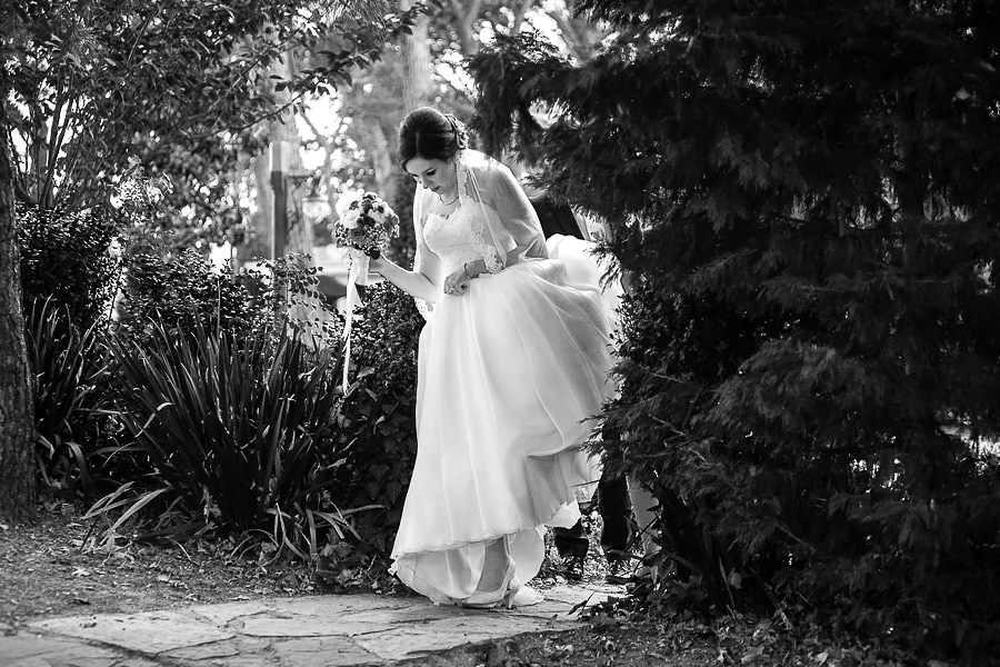 bride walking through trees